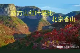 这里的红叶堪比北京香山，快去看看太行美景四方山。