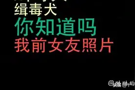 酷酷的滕VS京东金融