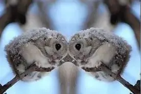 暖心老板的几个小动作，在这寒冬实在太管用！图片