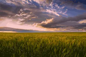 长沙秋游好去处 ！周末秋高气爽，一起秋游可好~图片