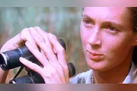 她假装母猩猩生活5年，克服怪病取得研究成果，改写课本传统概念图片