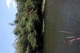 钓鱼钓不到就钓蟹！图片