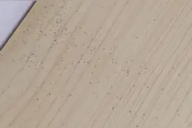 木材里面的蛀虫怎么办？八大方法助你灭虫！图片