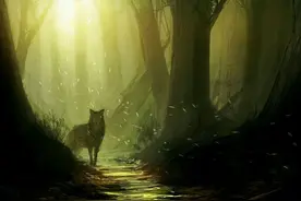 梦境破解，抛砖引玉！无解之梦望高人指点！图片