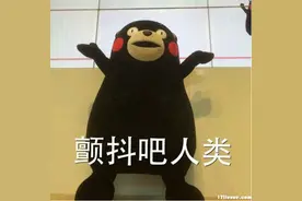 这里有国内飞澳洲各地的最全航班信息!你还不来看?还不马下来图片