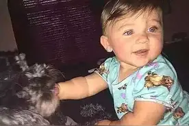 一代忠犬！狗狗火场舍命保护8月大小主人...图片