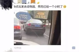 唐山动物园堵得厉害！游园攻略看这里！图片