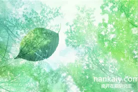 南开大学在职研究生通过率高吗？图片