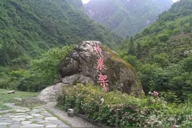 神农架自然保护区已出现烂尾项目：山林已开膛图片