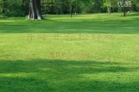 培训教材视频封面