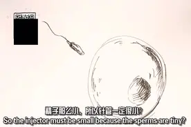 小孩问他从哪来的？　你要学会这样回答哟