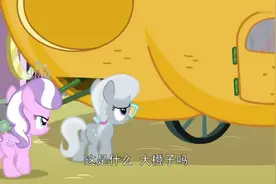 小马宝莉：苹果丽丽从马哈顿来的表姐居然不跟她一个鼻孔出气