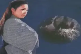 1980年代风靡国内的日本电视剧，《 姿三四郎》主题歌