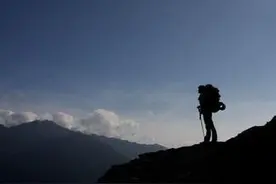 登山被野蜂蛰休克 提醒:野外游玩别穿太鲜艳图片