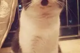 斗地主成体育项目，奖金500万！赣州人嗨了！你和500万之间只差一副牌图片