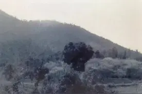 这组新老照片，带你领略余杭变迁~图片