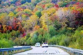 黑龙江国庆游：穿越两条醉美公路画廊图片