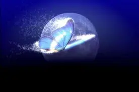 有关蝴蝶效应的联想图片