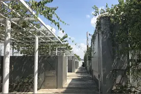 双摄加身的iPhone 7 Plus拍照鉴赏：惊艳图片