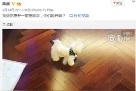 陈赫发博 突然想开一家宠物店，网友：名字叫赤赤宠物店图片