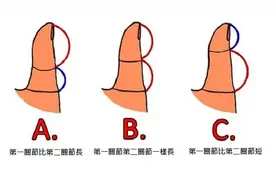 爱情测试：你的拇指最像哪一个？图片