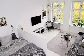 大客厅  利用小矮墙隔出了一个卧室  这个创意要逆天图片