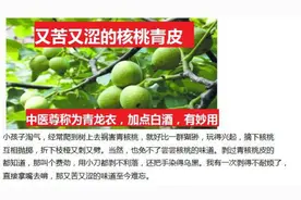 又涩又苦的核桃青皮，中医称为青龙衣，加白酒泡，超级好用