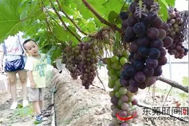 玩转国庆！一起去游田摘水果和登山吸氧气！图片