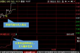level2：一信号在手 牛股我有！图片