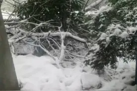 “霸王级”寒潮下的梧州美景图片