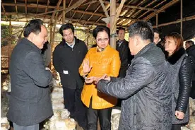 惠州市惠阳区人民政府门户网站图片