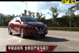 后期消费要低 东风日产蓝鸟怎么样？