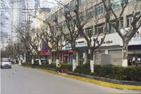 大理市：停车要瞅准 路缘黄实线是禁停路段图片