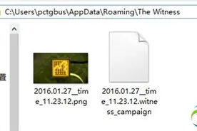 见证者The Witness存档位置一览图片