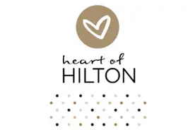 被逼急的希尔顿图片