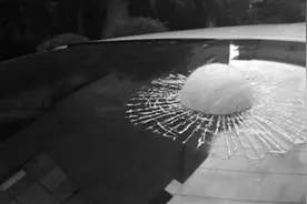 秀肌肉、大宝剑、绿巨人汽车后窗贴纸近来很流行图片