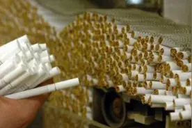 重磅：吸烟者注意，烟丝里面掺纸壳，新闻记者已调查！视频封面