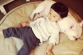 10种最适合孩子一起成长的狗狗，暖哭了