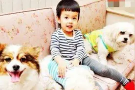 孙杨私生子没找到，找到了他的干儿子！