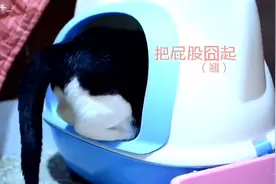 “哗啦哗啦”太洗脑了，看过之后总能想起来然后就又看了一遍