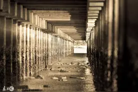 小说：殡仪馆内尸体不断莫名消失，原是恶灵偷去化练神秘邪术图片