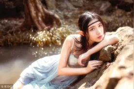 小说：“夫人，这都是机器的功劳”，“那就请机器一起来用餐吧”图片