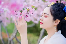 小说：粮油蔬菜等采购完毕后，安宁打算继续计划书上的下一项图片