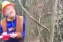 妻离家出走 90后爸爸剃发扮光头强哄娃开心视频封面