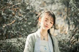 小说：请看现代人如何气走秦国的儒家学子图片