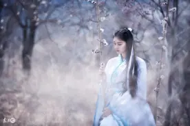 小说：穿越到古代，被镇国公一家收养，她一来国公府就整治熊孩子图片