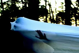 小说：诡异凶杀案震惊所有人，凶手竟在监控摄像头下完美犯罪图片