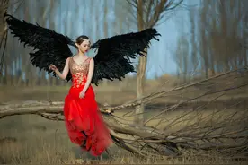 小说：不可一世的狼族狼灭，终究还是轻敌了，被瞬间秒杀。图片