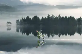 小说：一个人承载家族崛起之重任，他将何去何从图片