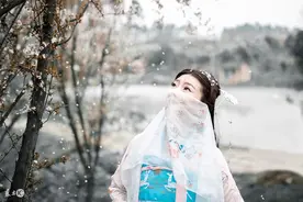 小说：姨娘上位成平妻，虚情假意哄骗，嫡女跟她拼演技斗智斗勇图片